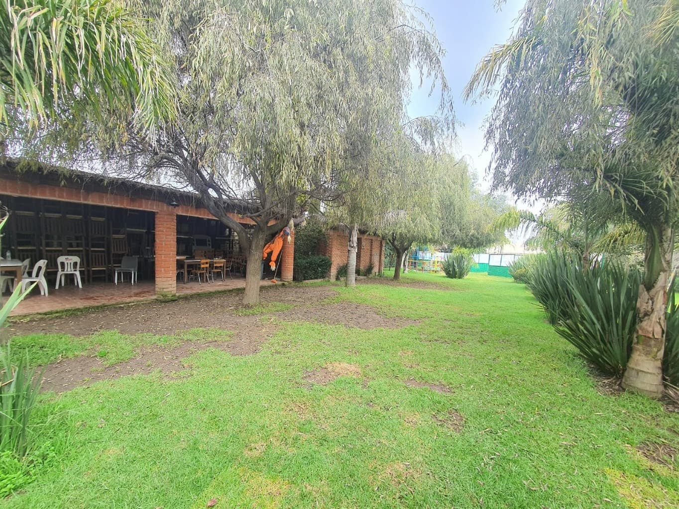 image-14