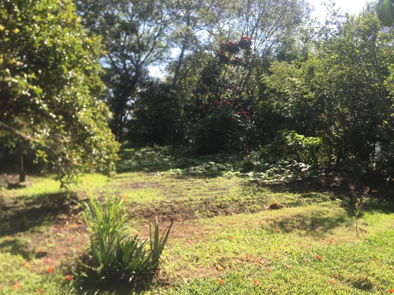 image-16