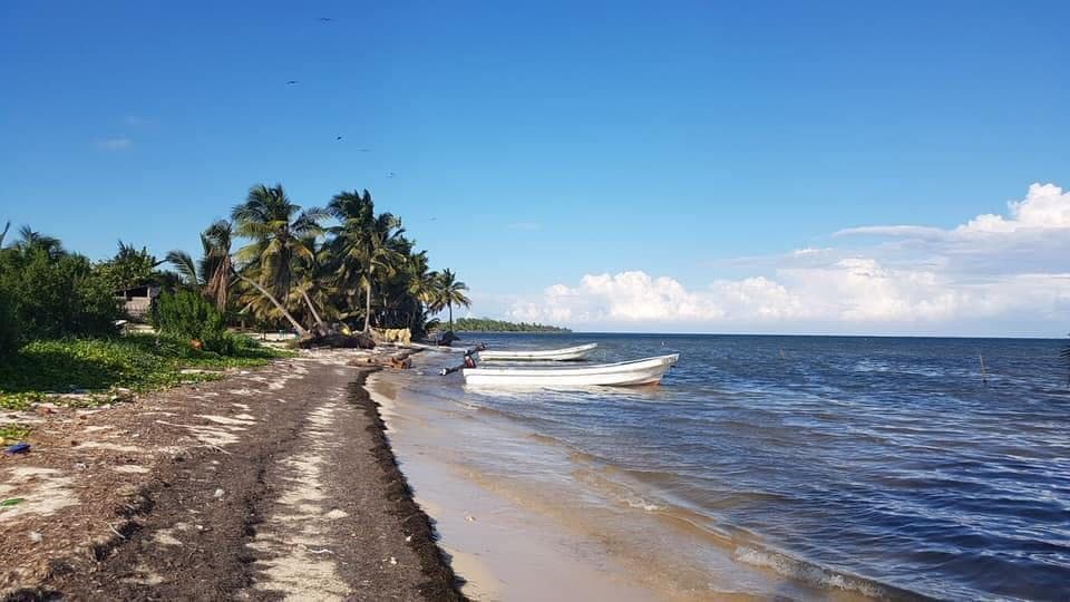 image-0