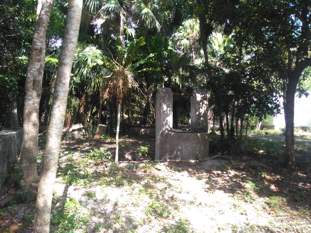 image-19