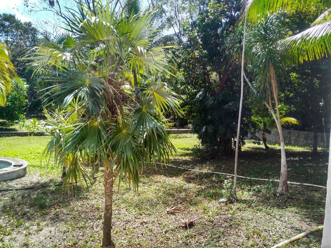 image-16