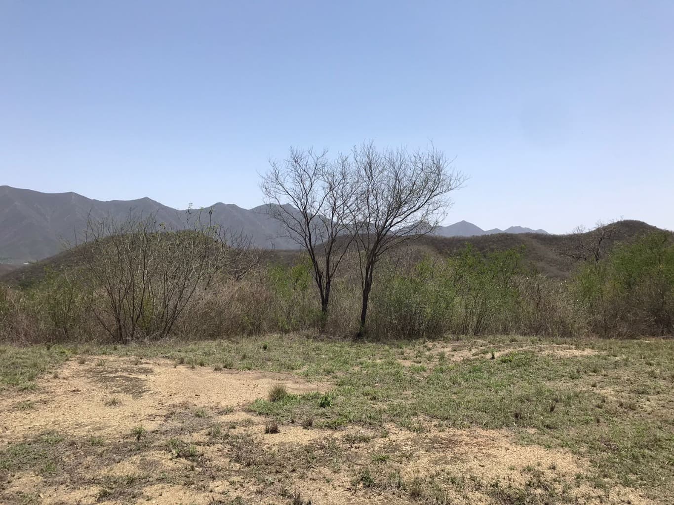 image-2