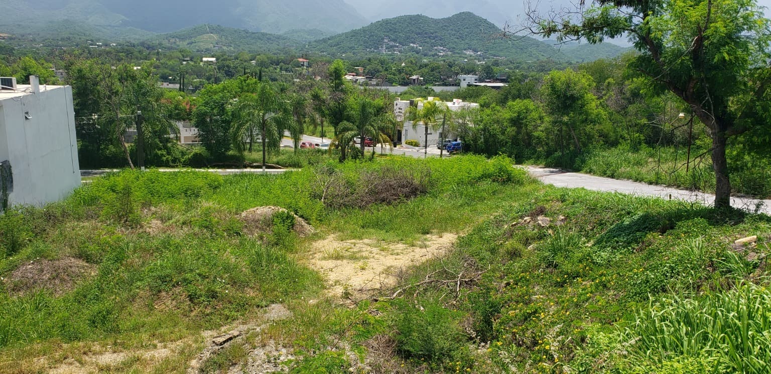 image-2