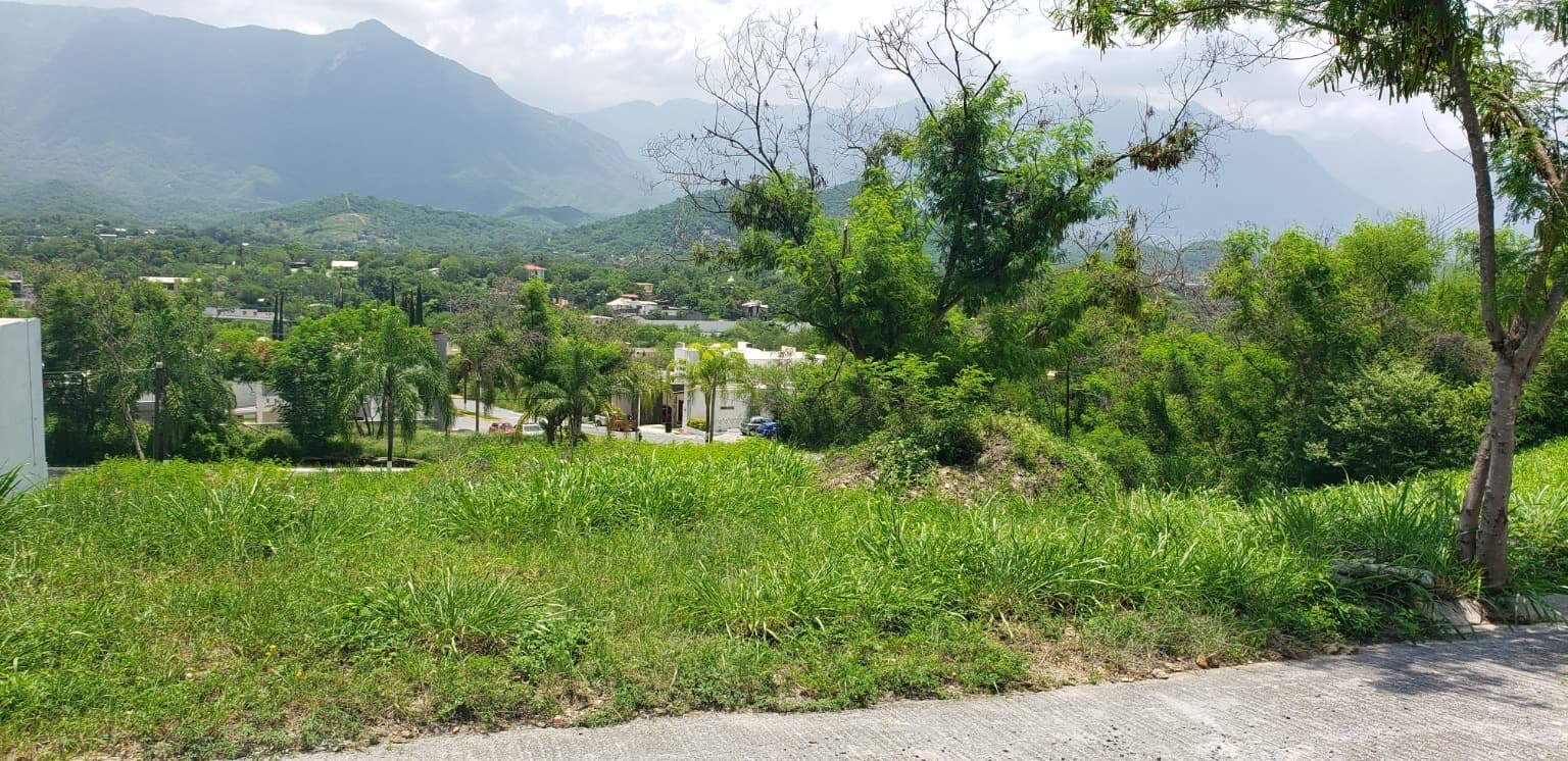image-4