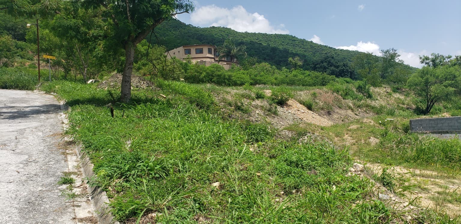 image-5