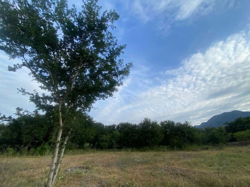 image-0