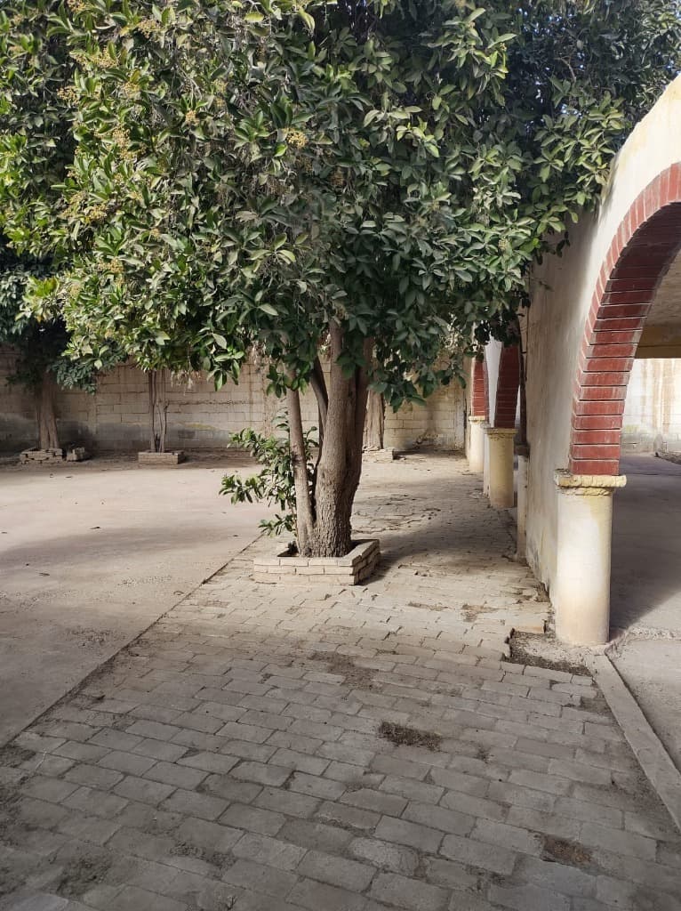 image-15