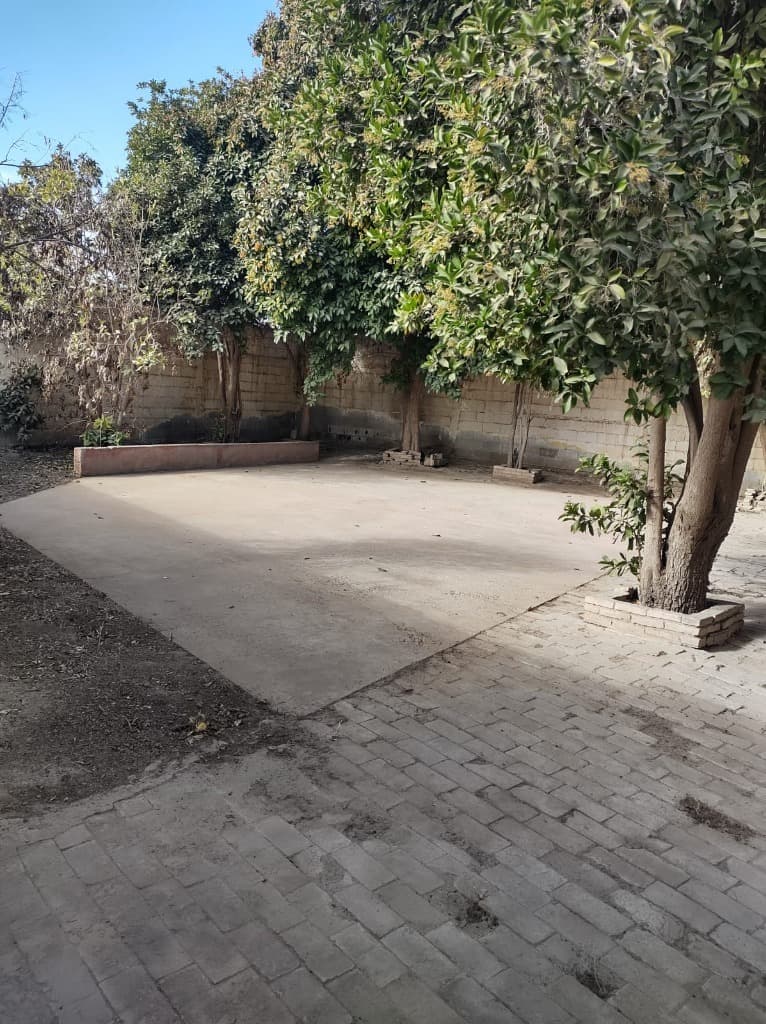 image-16