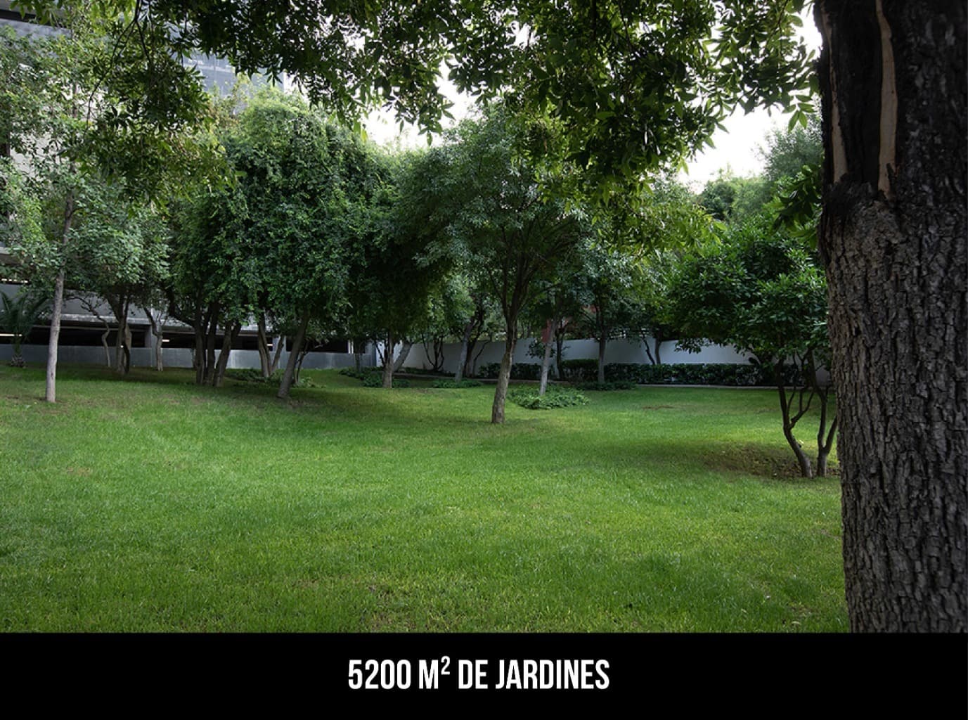 image-19