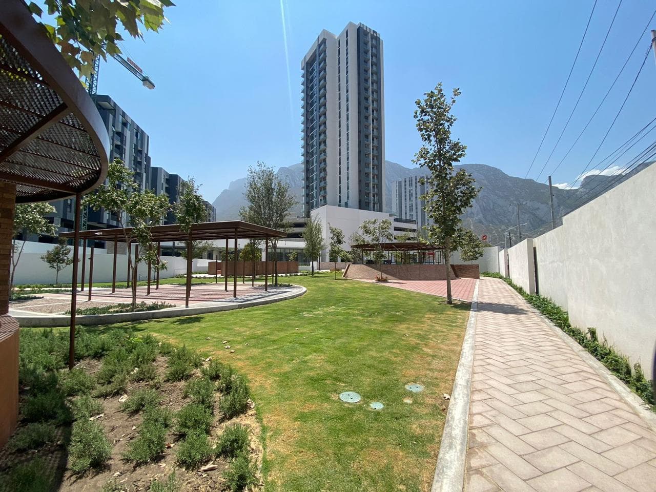 image-20