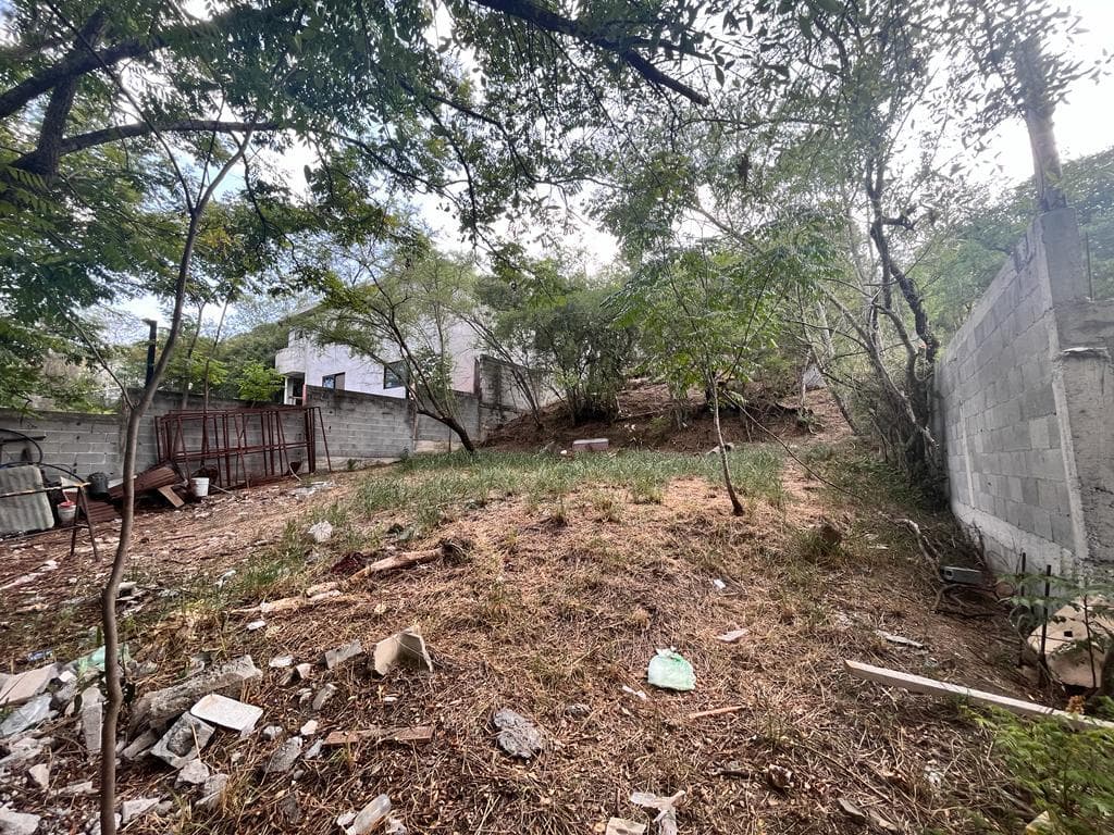 image-2