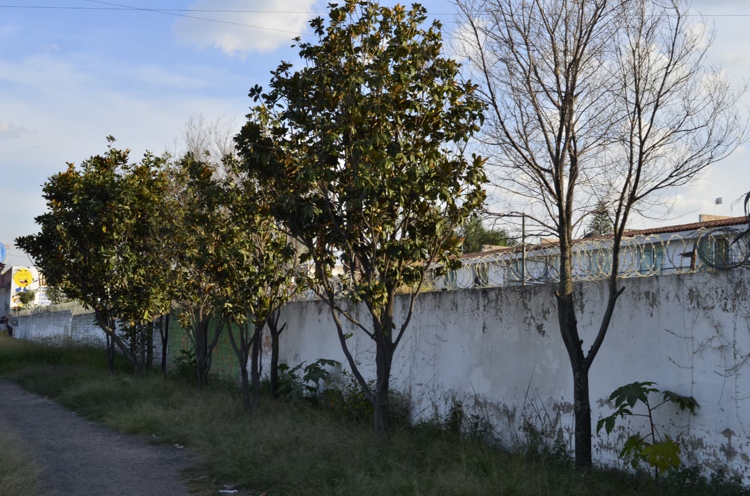 image-2