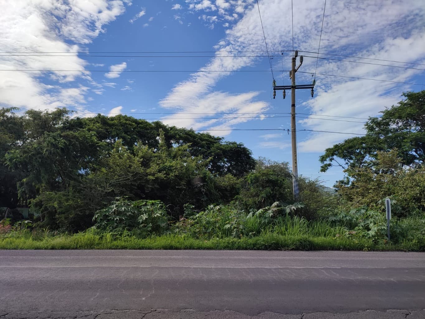 image-16
