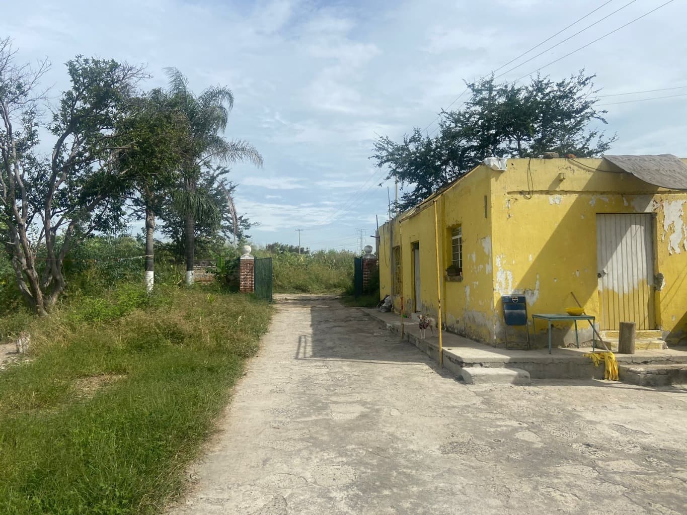 image-2
