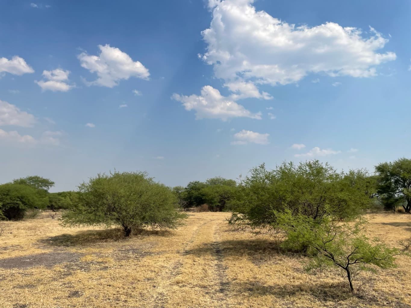 image-14
