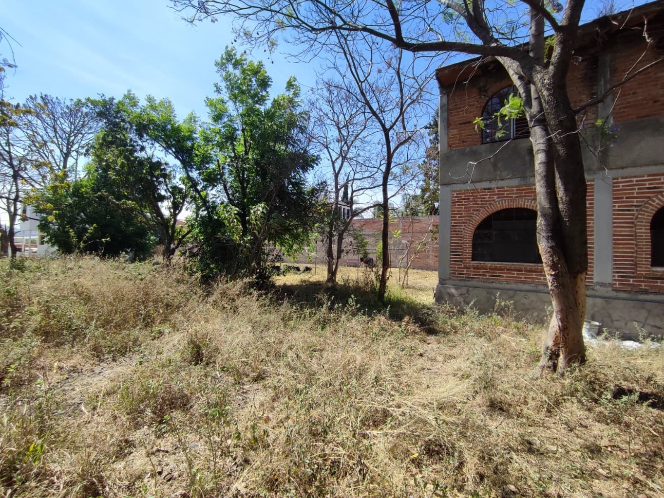 image-2