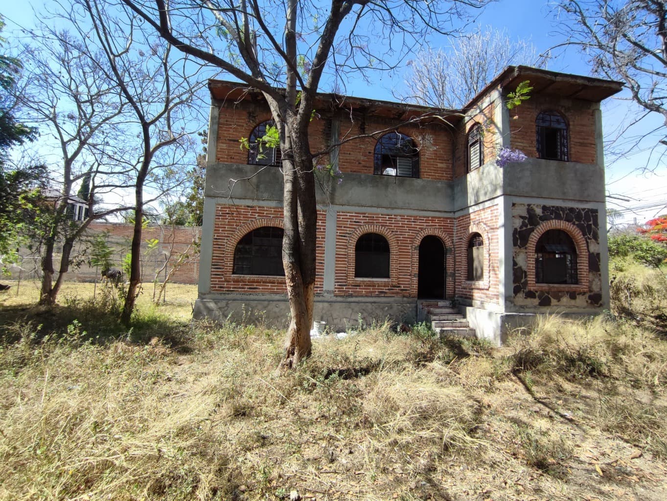 image-4
