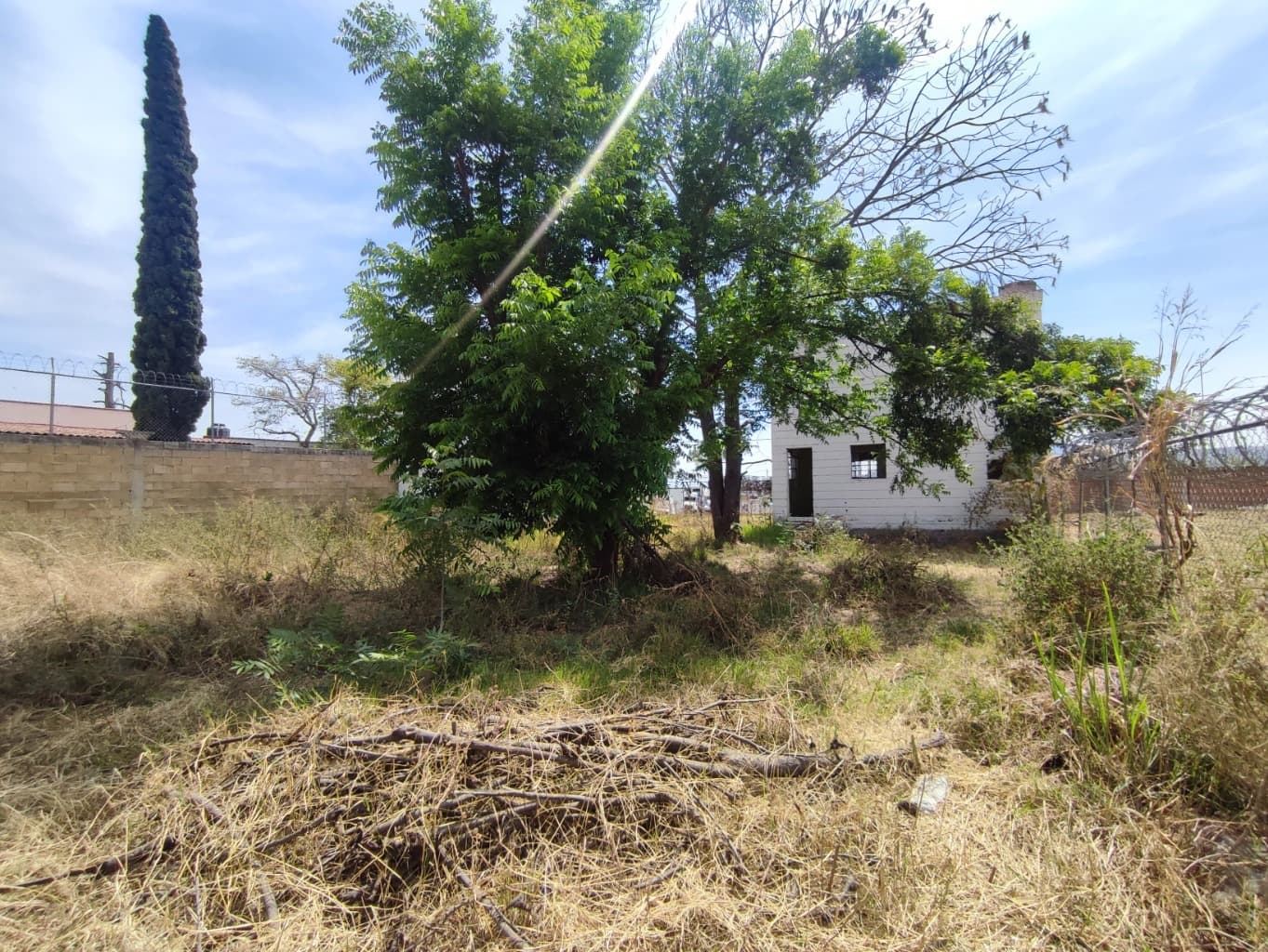 image-9