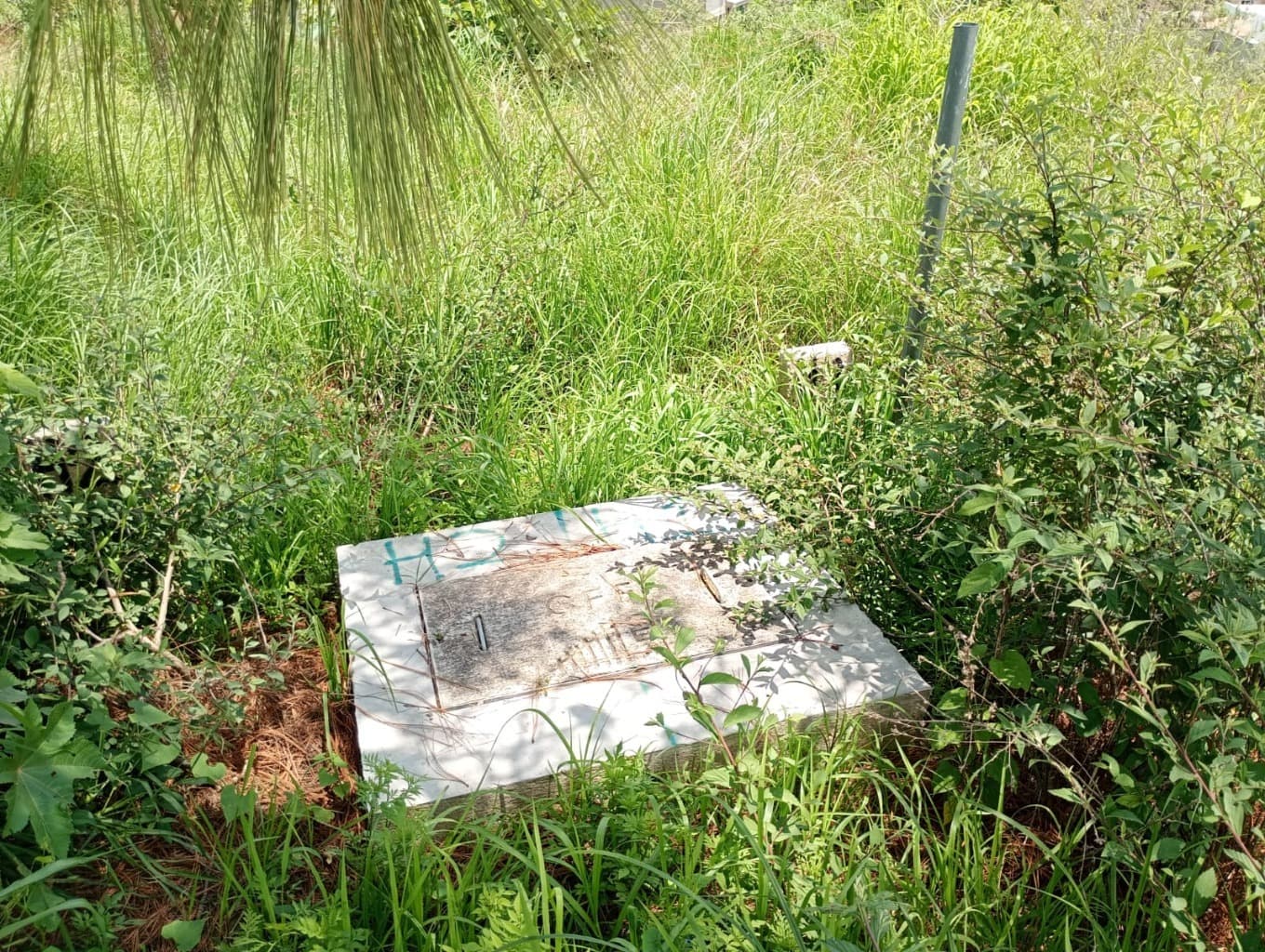image-5