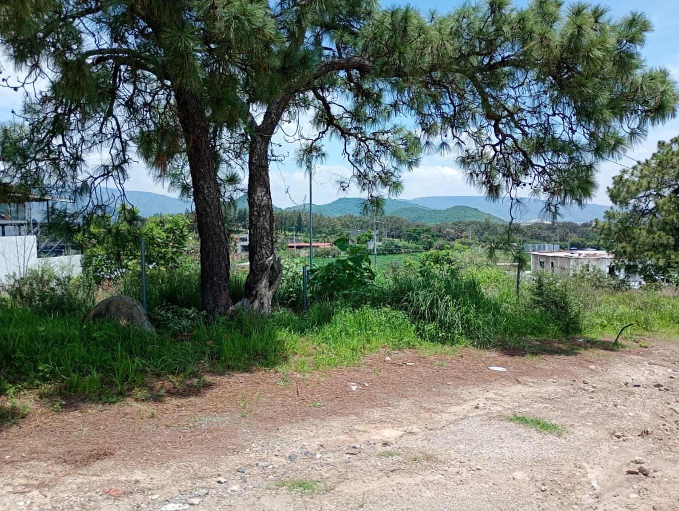 image-7
