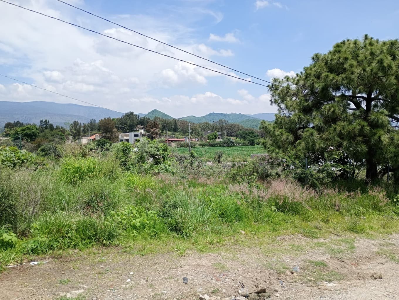 image-4