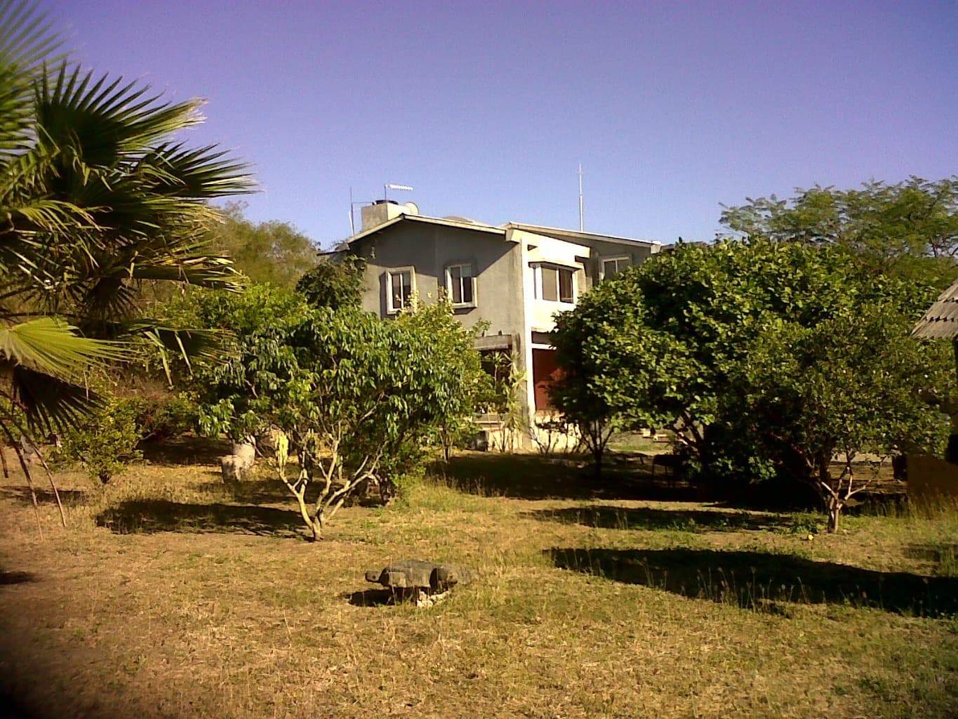 image-1