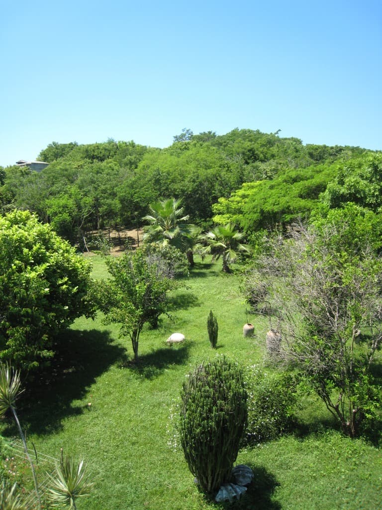 image-4