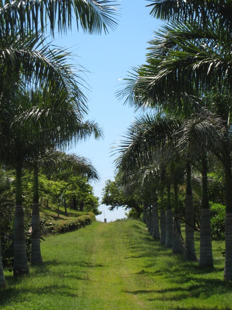 image-5
