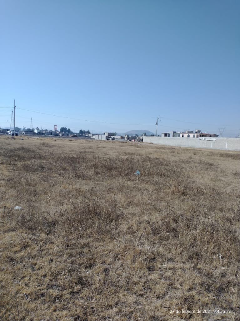 image-0