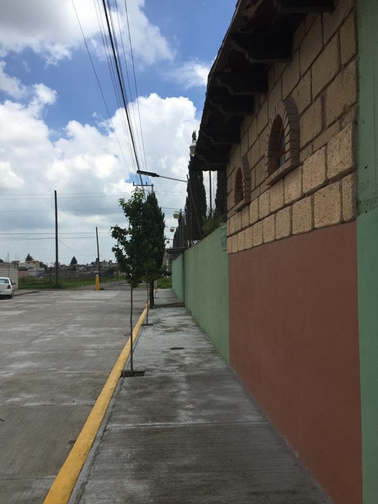 image-19