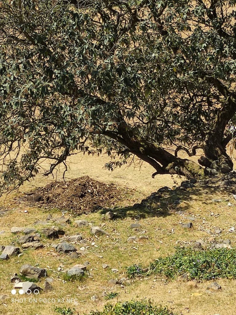 image-17