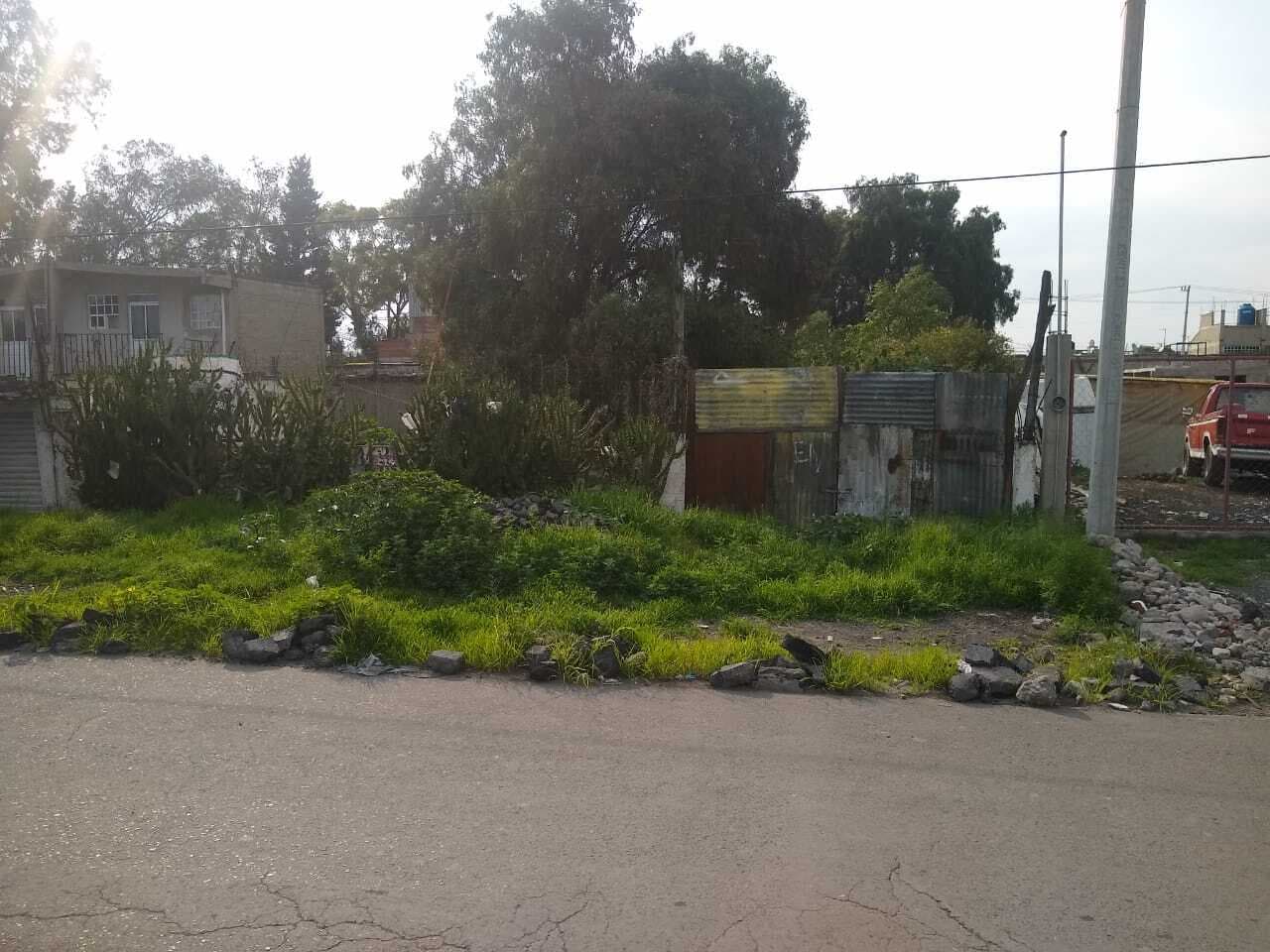 image-0