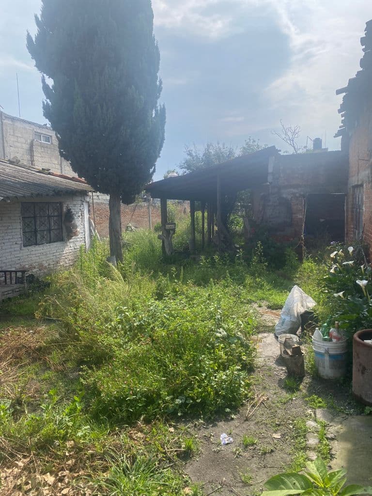 image-27