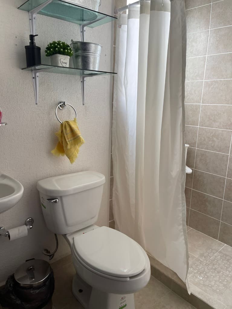 image-19