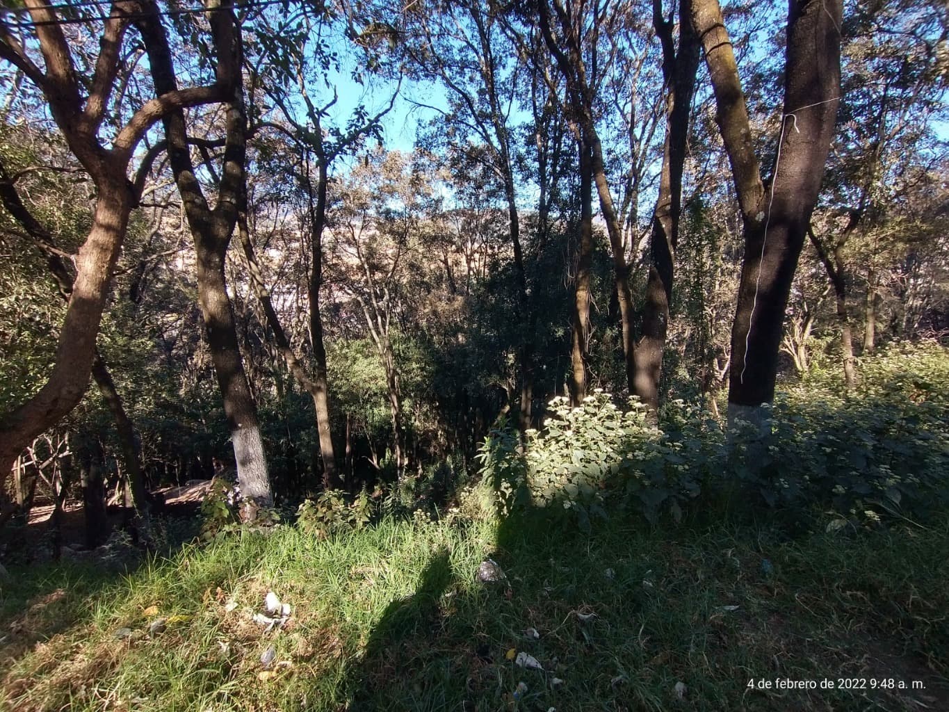 image-0