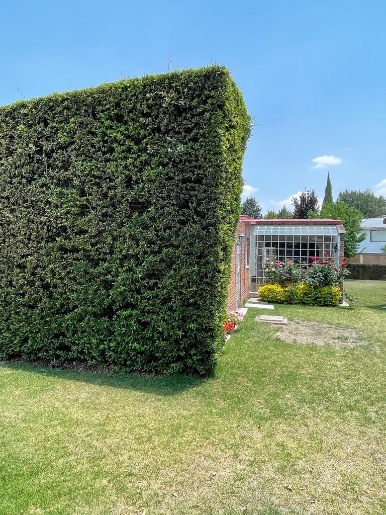 image-24