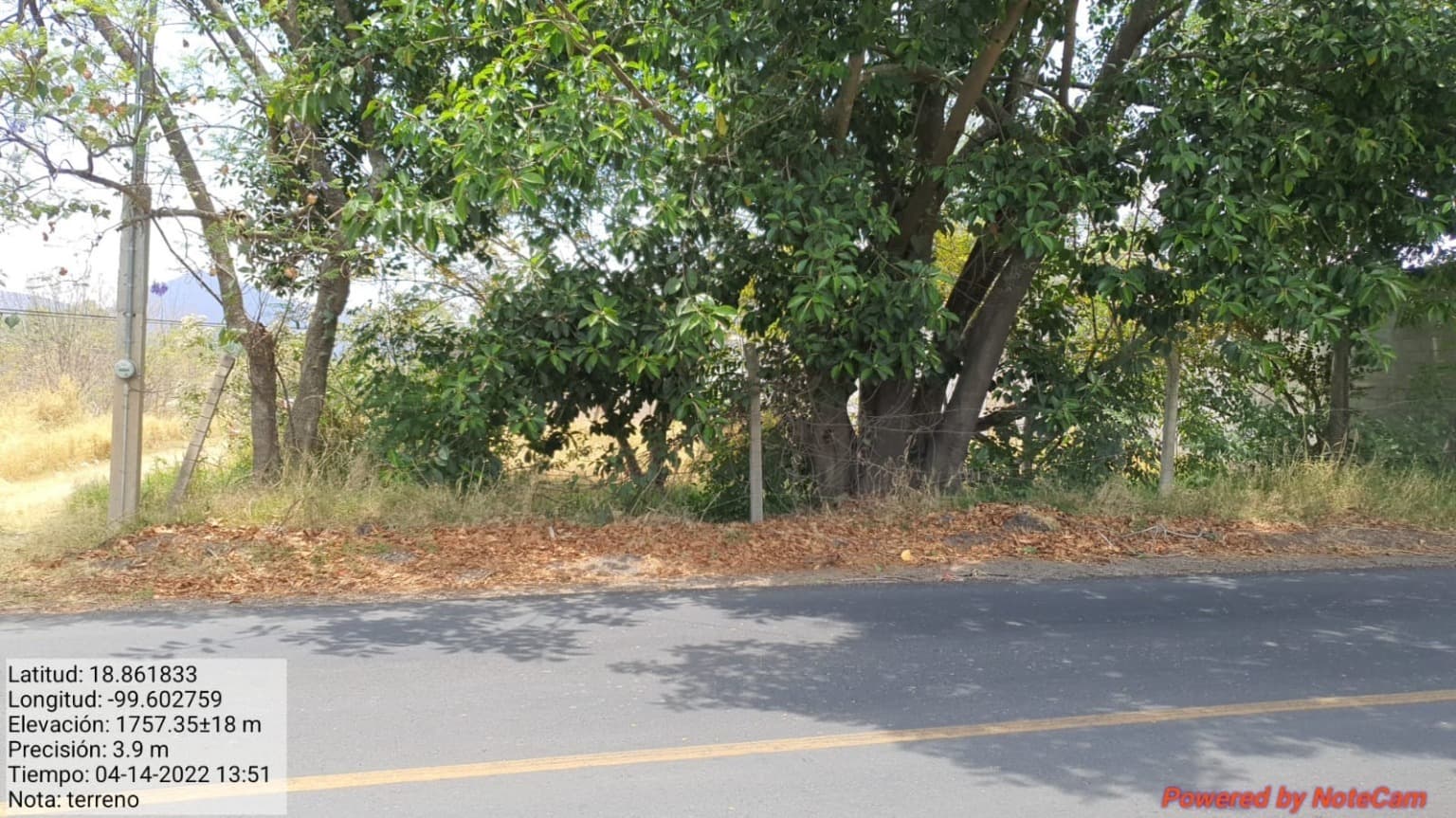 image-0