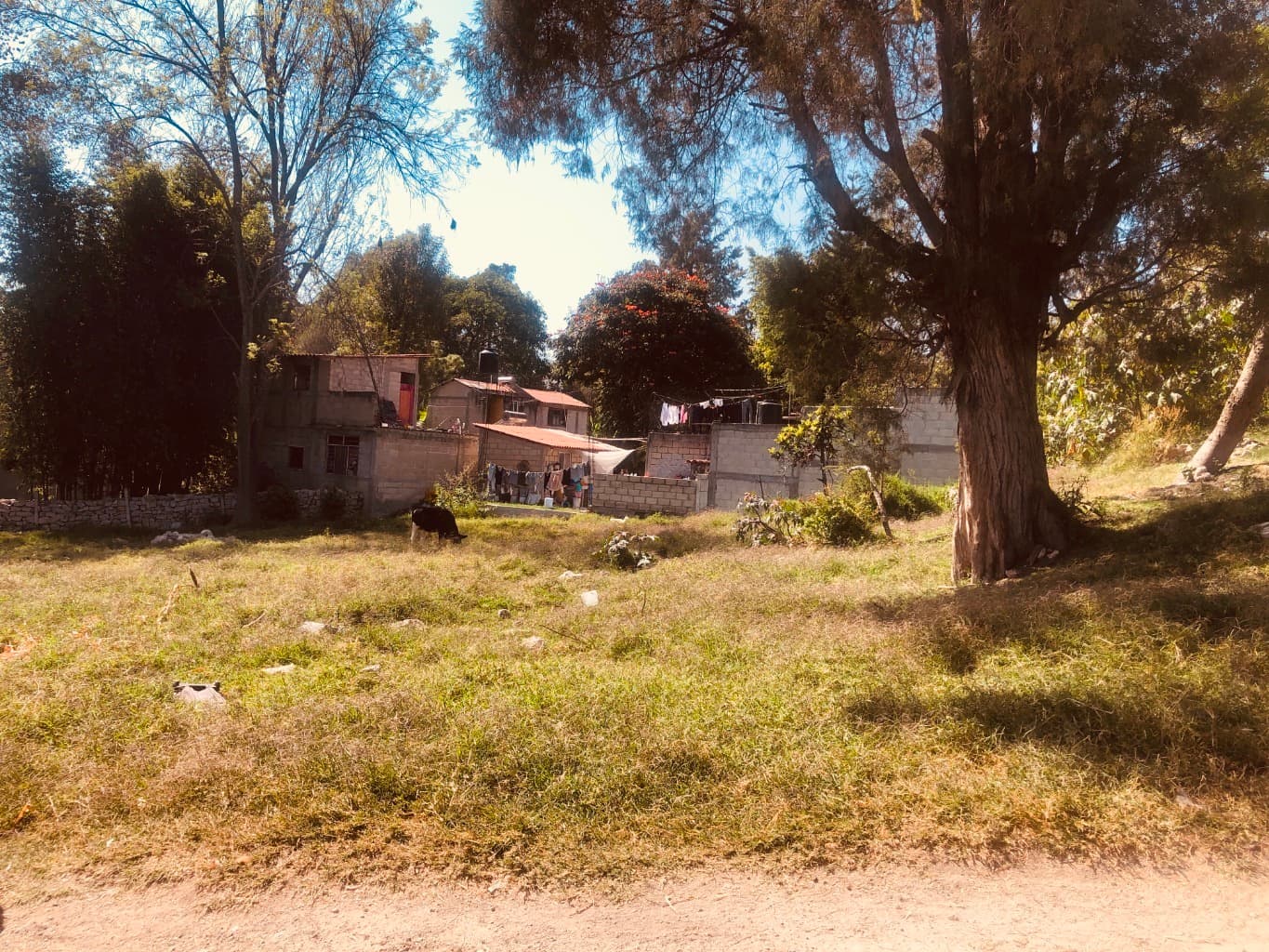 image-7