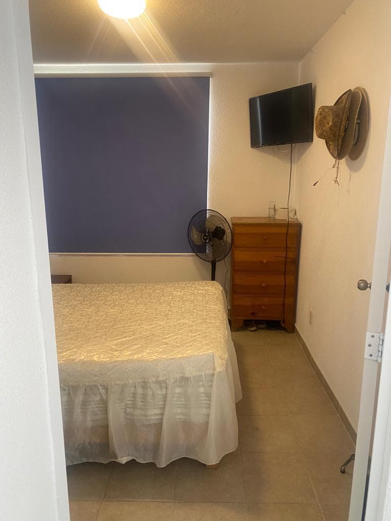 image-19