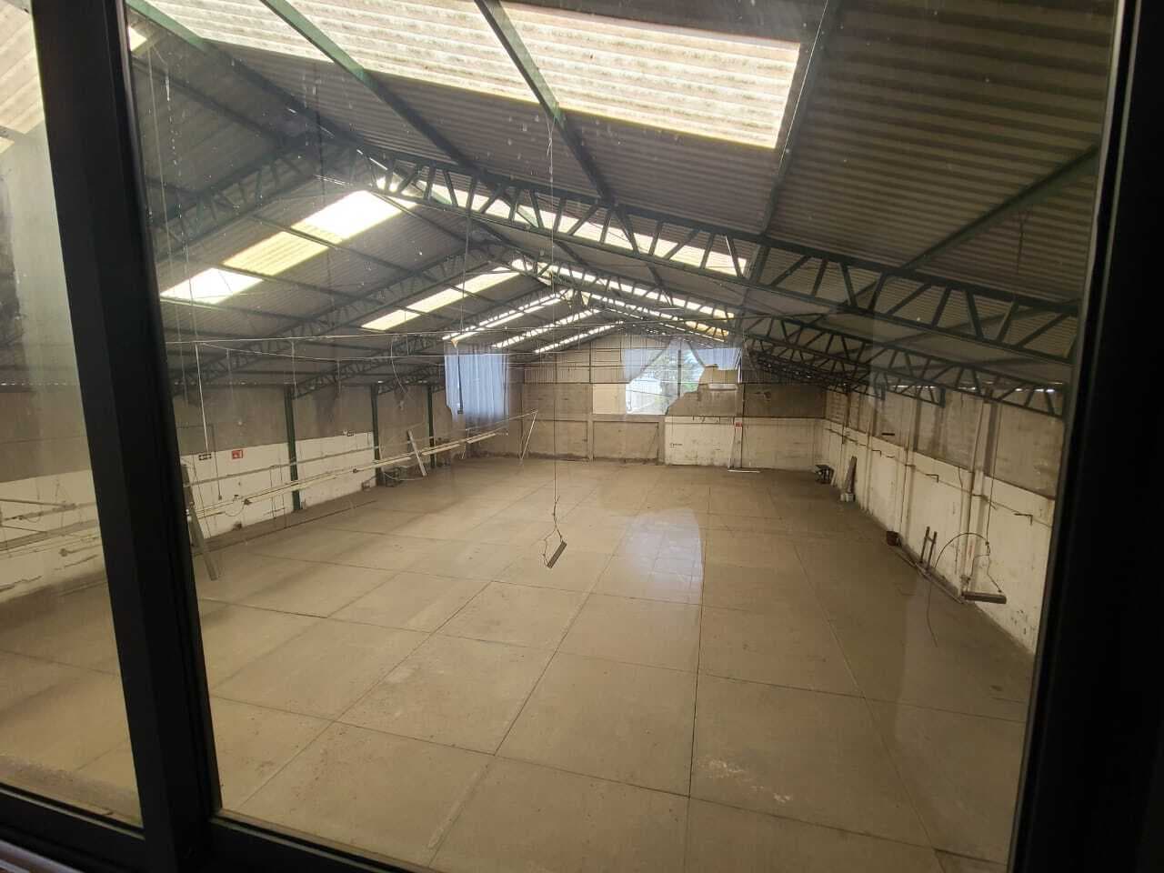 image-19