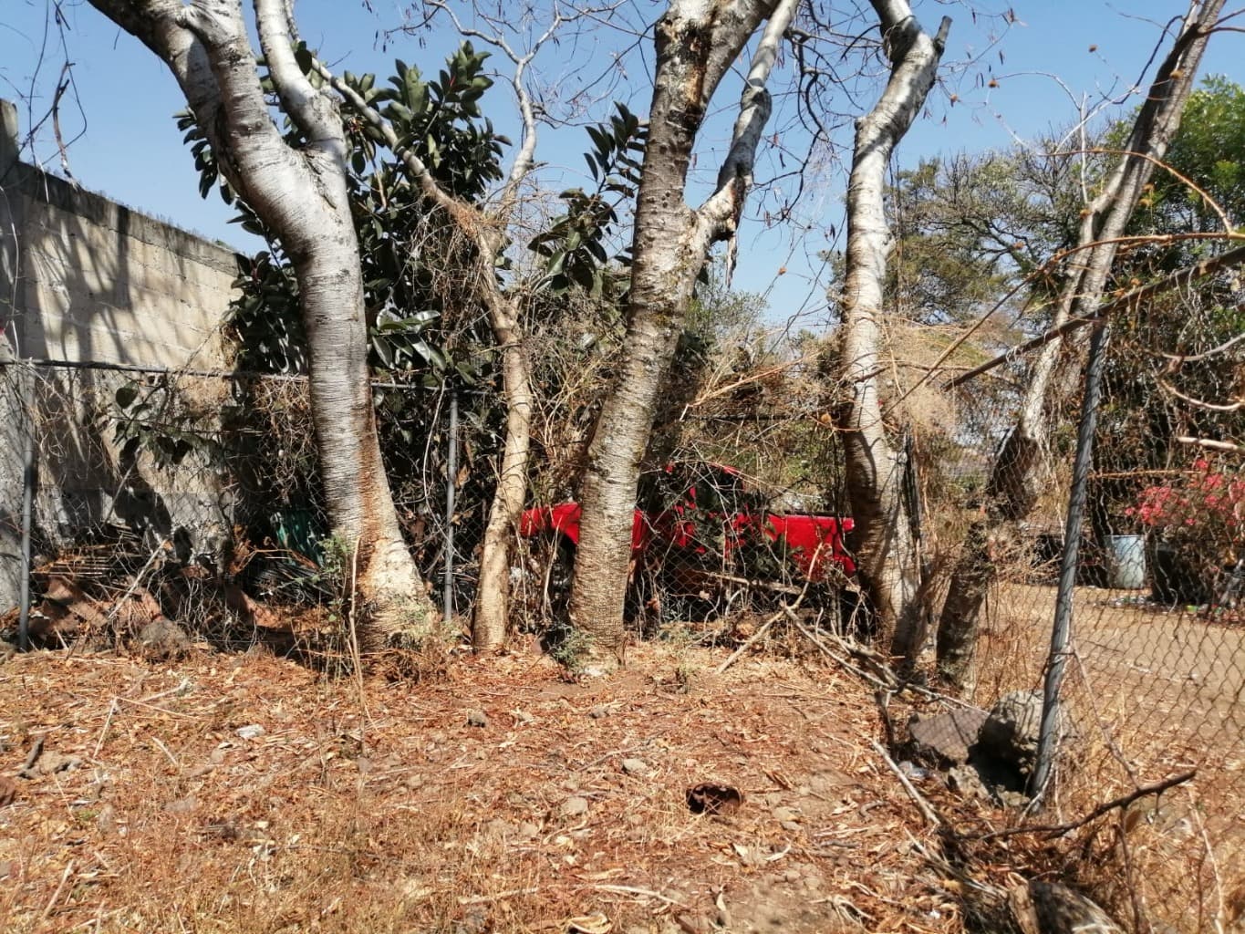 image-6