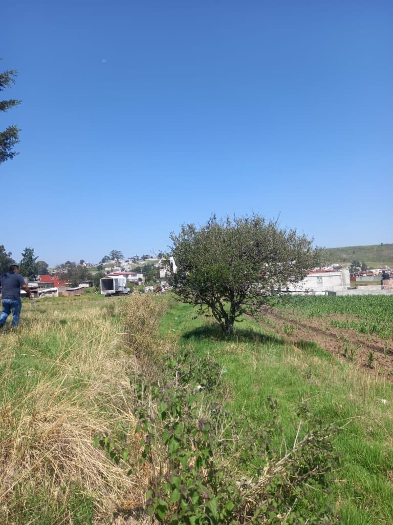 image-32