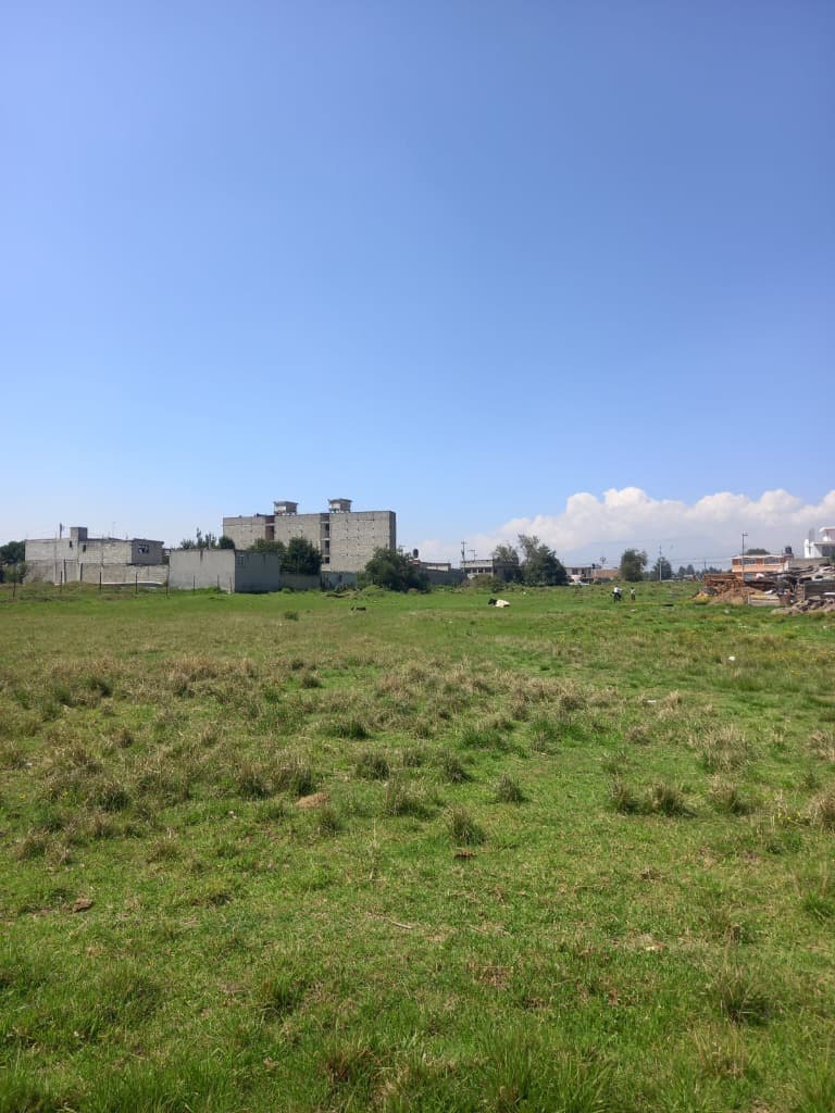 image-31