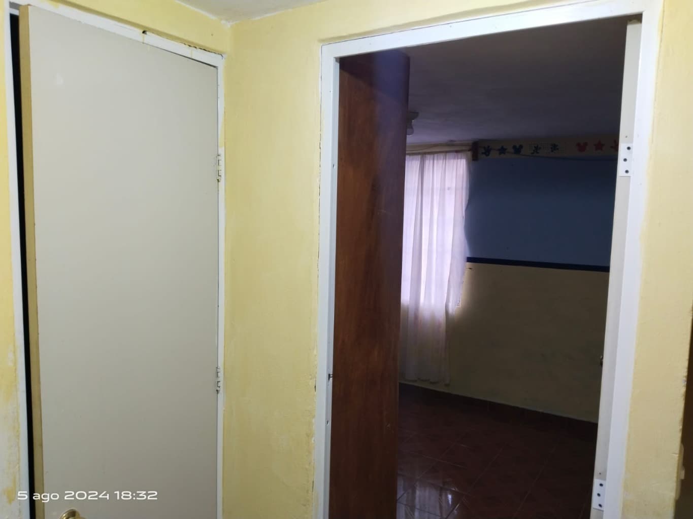 image-5