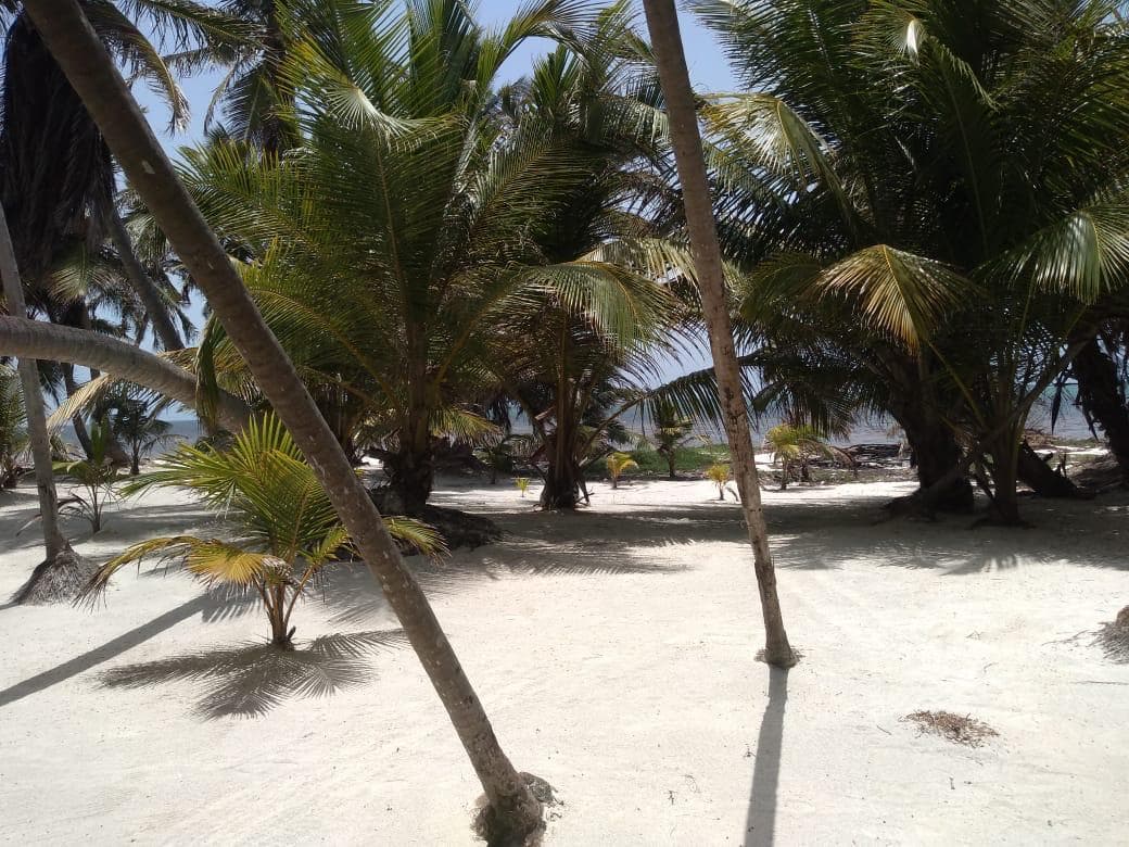 image-14