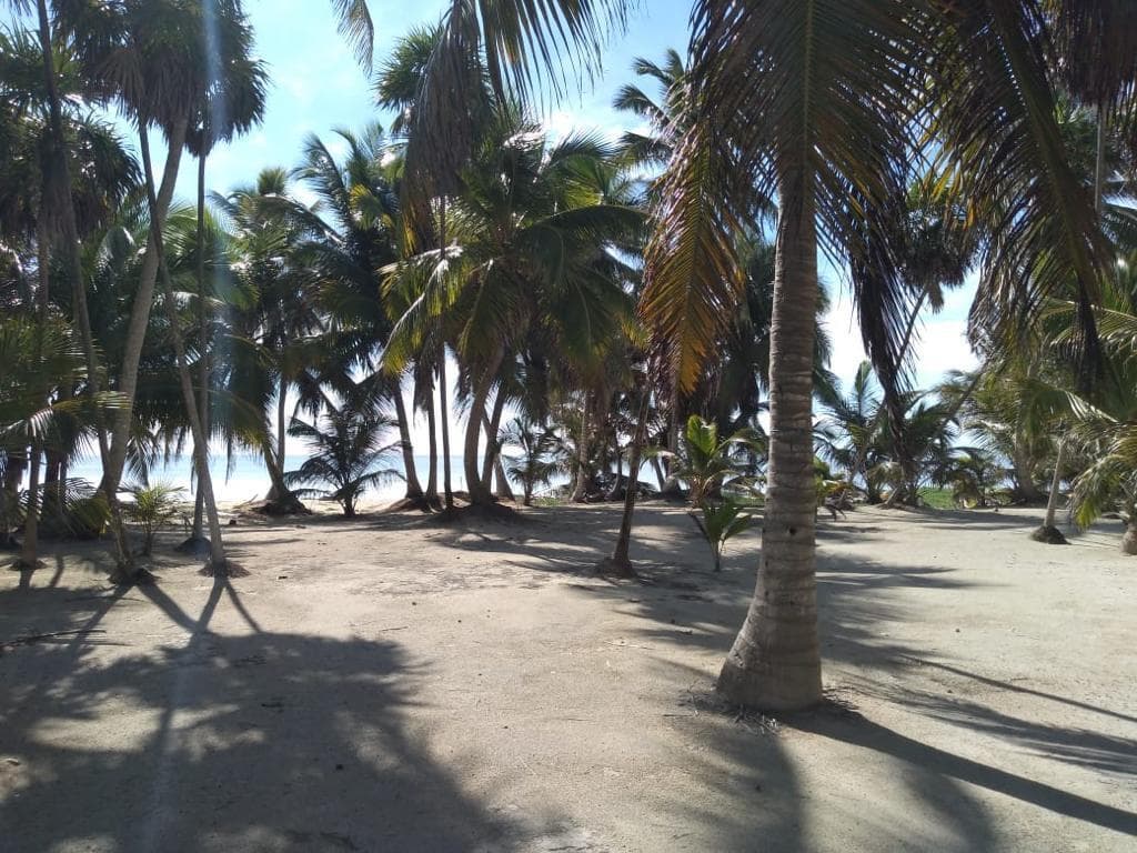 image-16