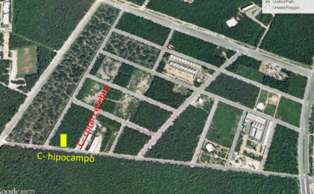 image-0