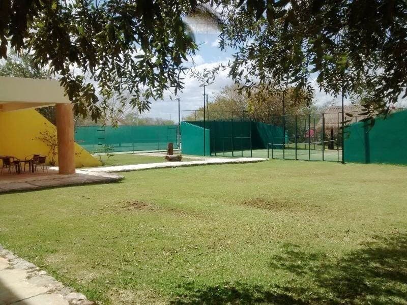 image-17