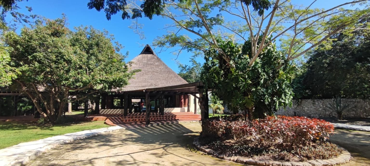 image-36