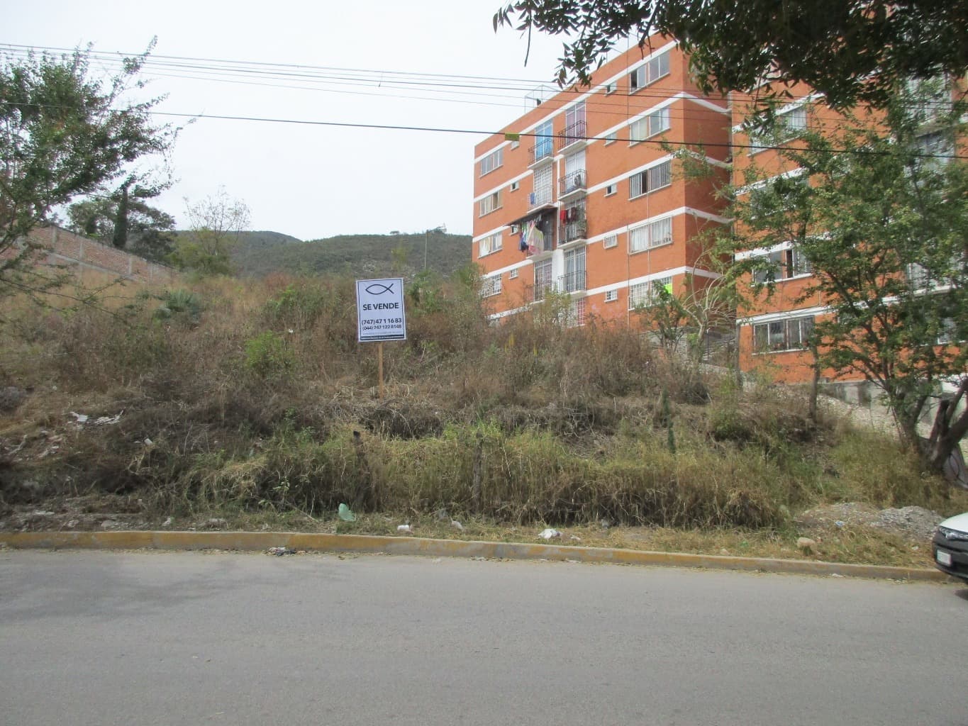 image-3